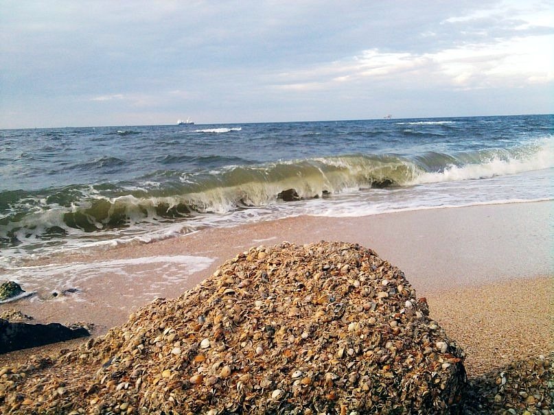 Пляж в камышеватской